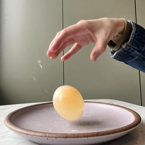 bouncy egg experiment explained