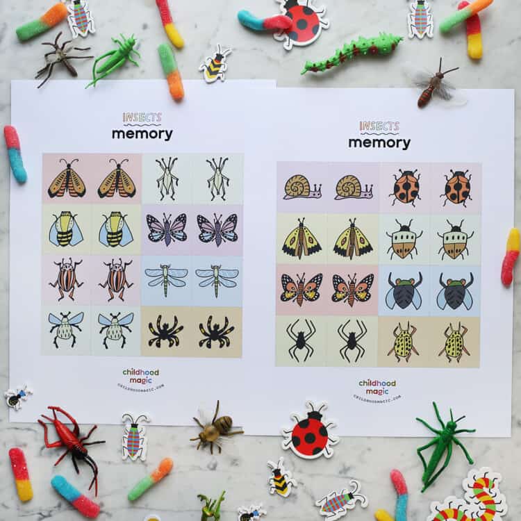 Memory Game Insectos Insect Memory Game - Childhood Magic