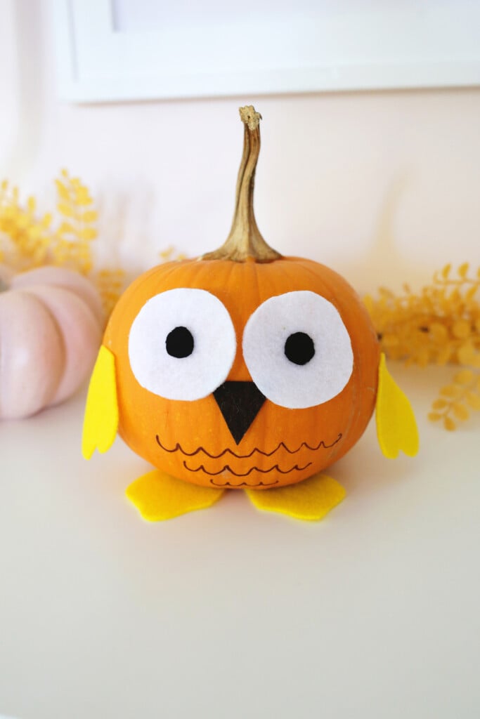 no carve owl pumpkin