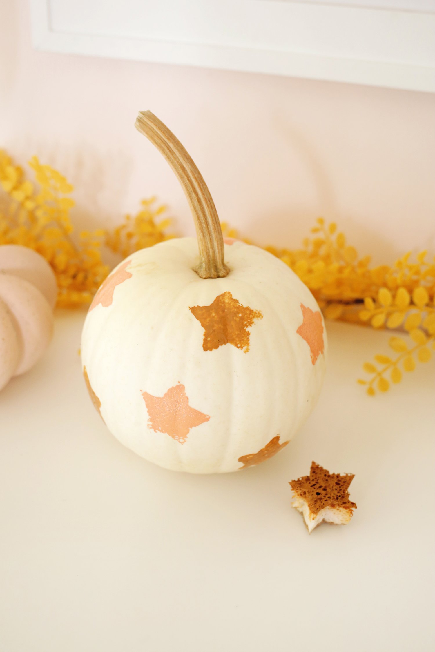 stamped star no carve pumpkin ideas