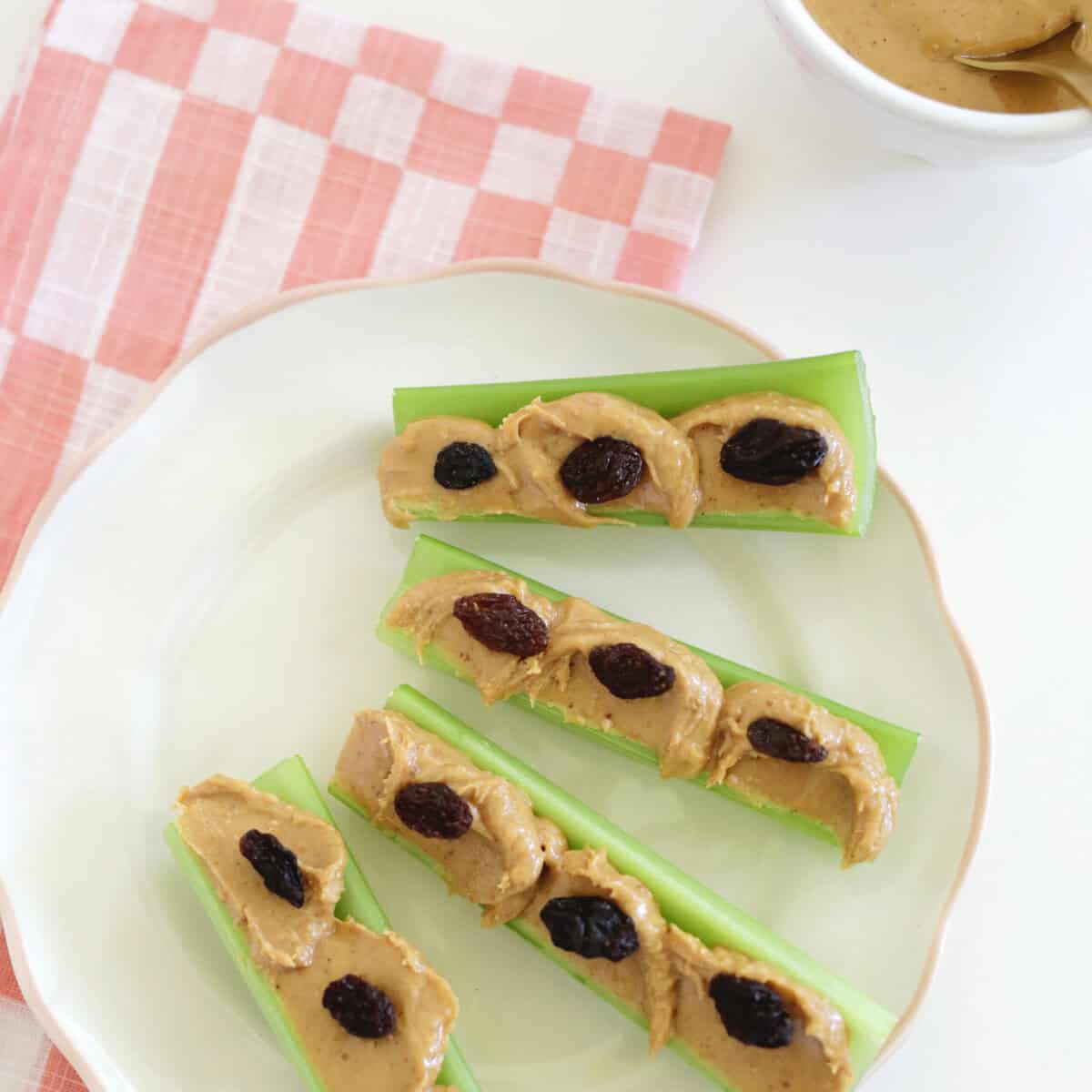 ants on a log snack