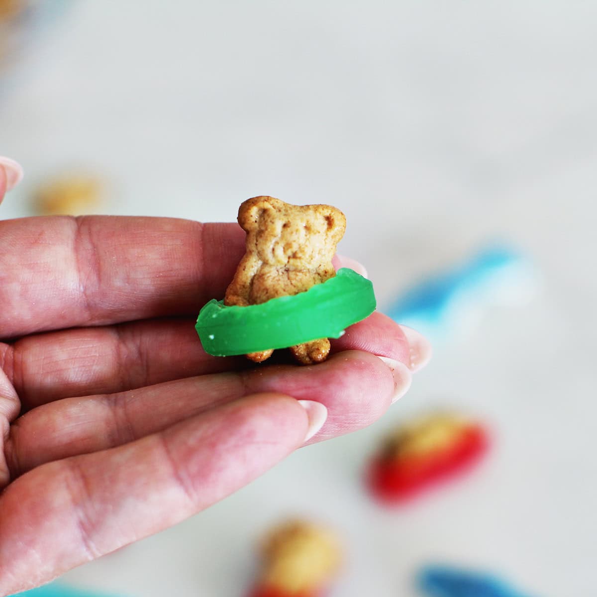 Teddy graham bear with a green lifesaver gummy around it.