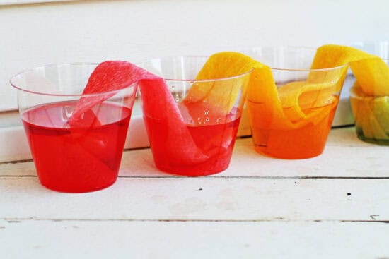Traveling Rainbow Water Experiment- Fun Science for Kids - Childhood Magic