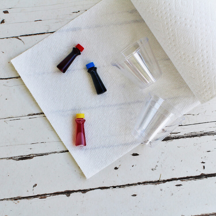 Traveling Rainbow Water Experiment- Fun Science for Kids - Childhood Magic