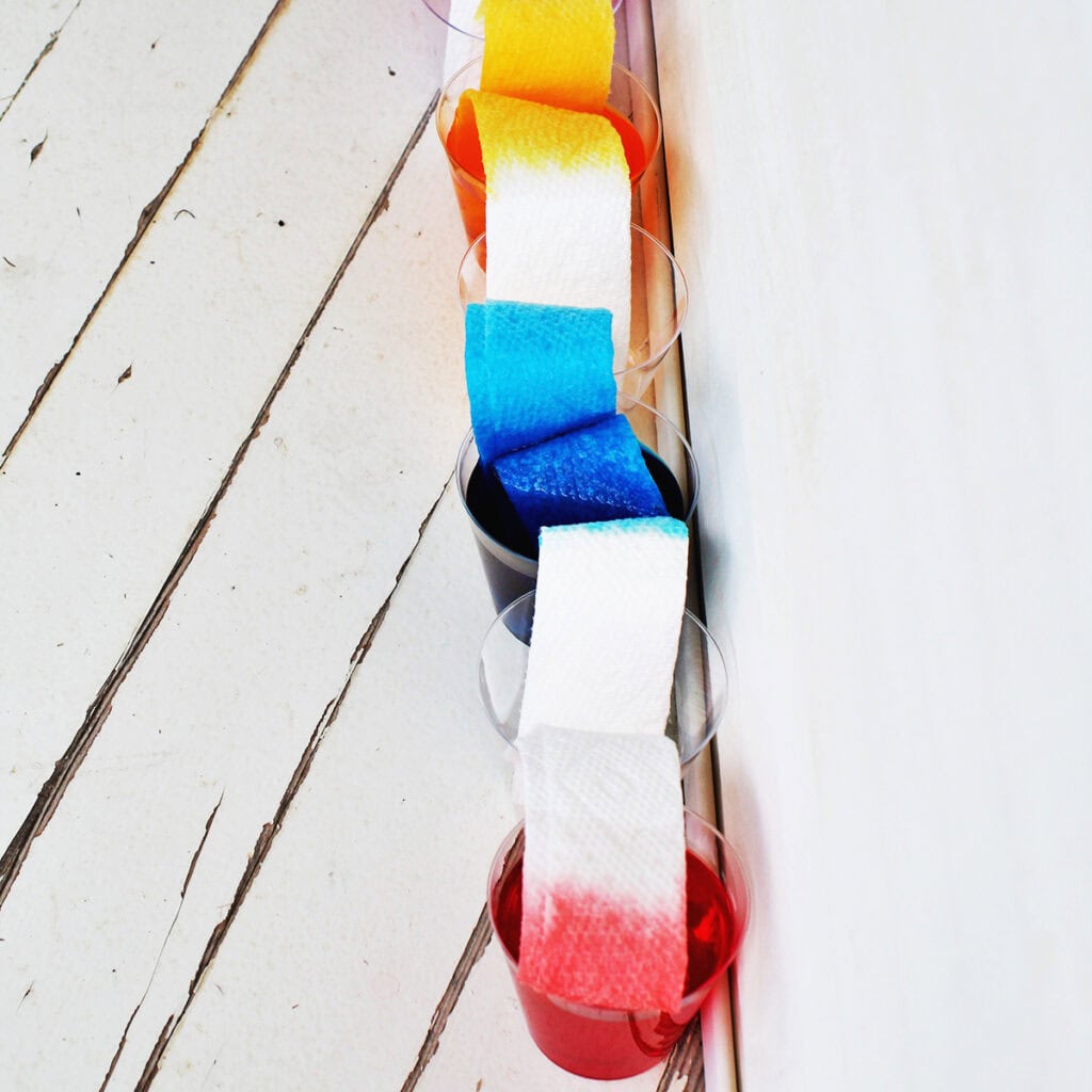 Traveling Rainbow Water Experiment- Fun Science for Kids - Childhood Magic
