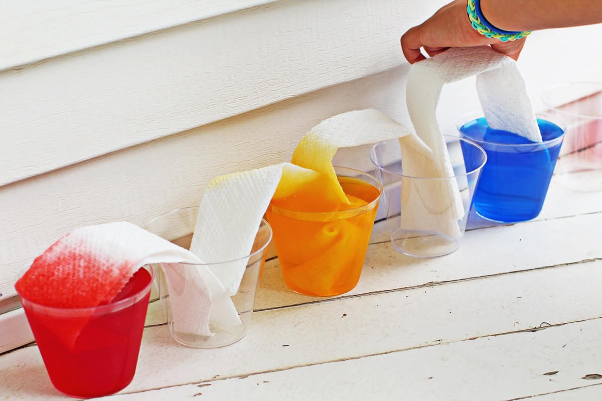A person is holding a cup of colored water.