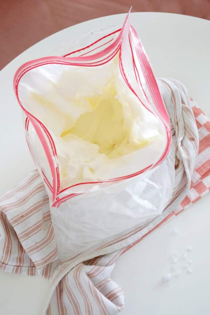 ice cream in a bag