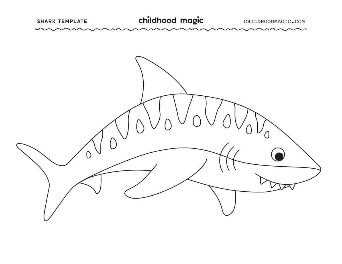 Outline of a tiger shark.