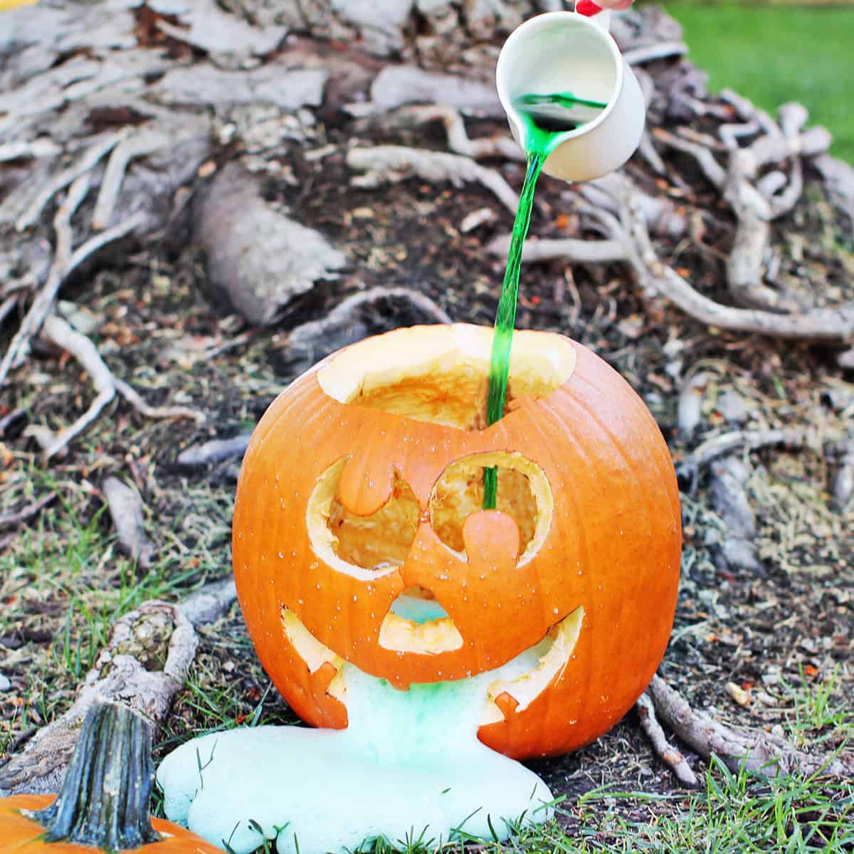 Vinegar and food coloring solution being poured into a carved pumpkin.