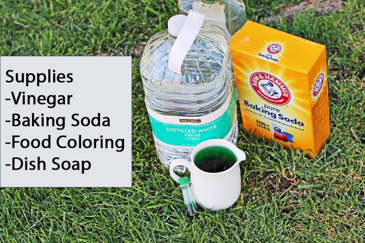 baking soda, vinegar, dish soap and food coloring sitting together on the grass.