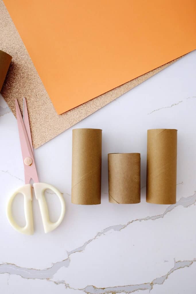 toilet paper roll haunted house craft