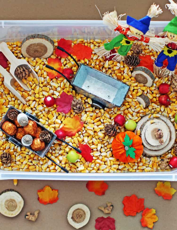 Autumn themed sensory bin filled with corn kernals and fall miniatures.