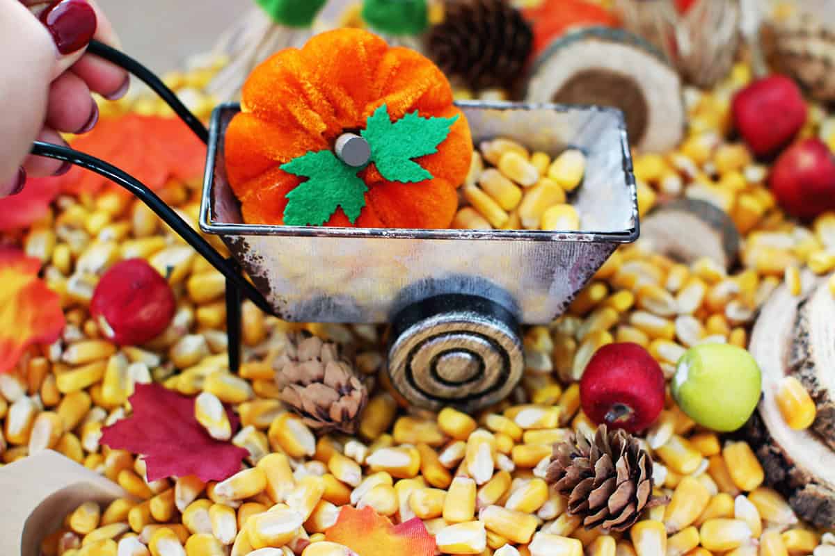 Silver wheel barrow with a velvet pumpkin and corn kernels.