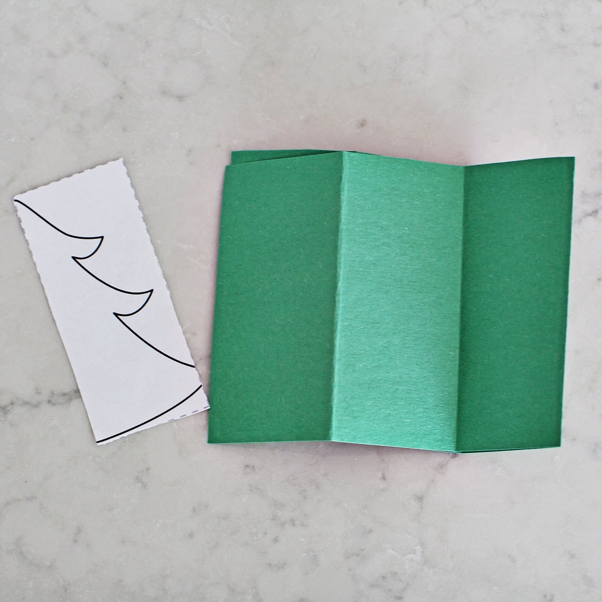 green construction paper on counter showing fold lines.