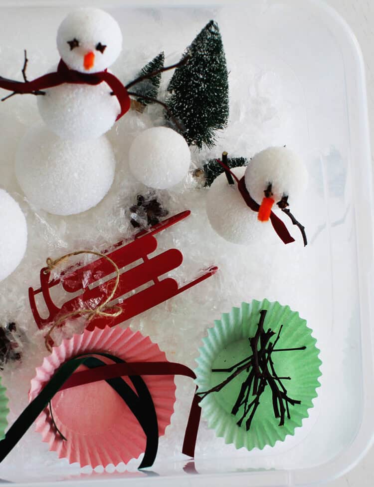 styrofoam balls, and pieces to build a craft snowman.